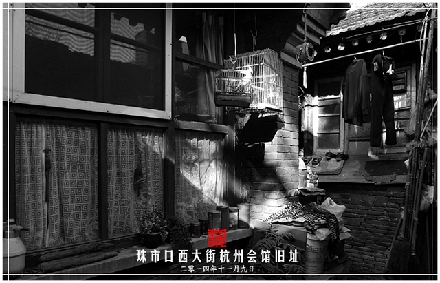 查看更多精彩图片