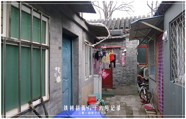 查看更多精彩图片
