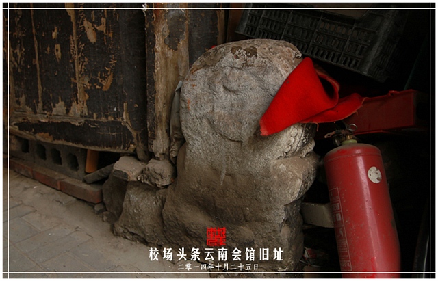 查看更多精彩图片