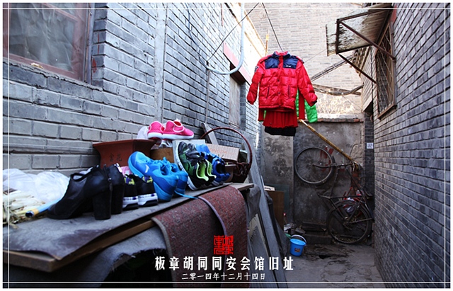 查看更多精彩图片