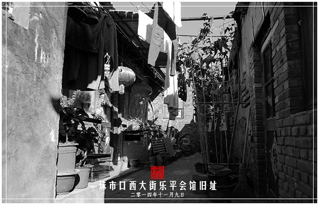 查看更多精彩图片