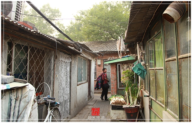 查看更多精彩图片