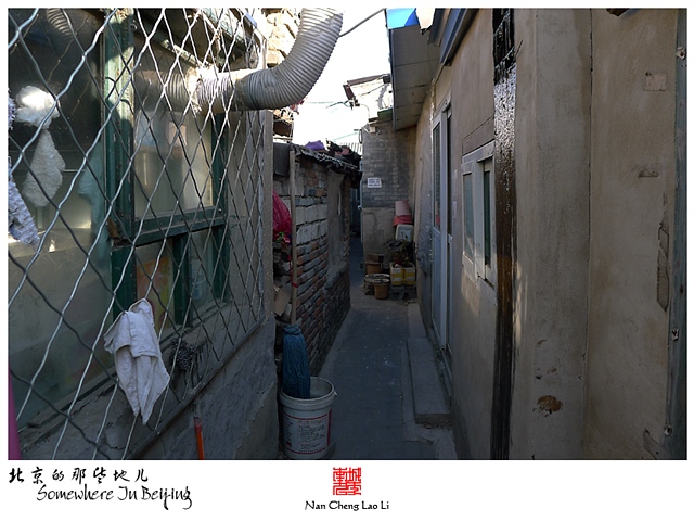 查看更多精彩图片