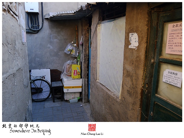 查看更多精彩图片