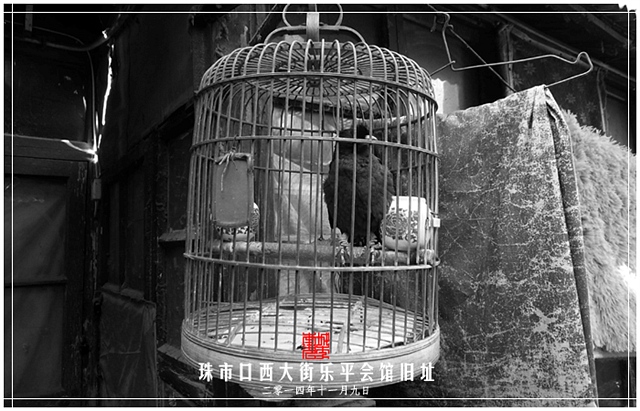 查看更多精彩图片