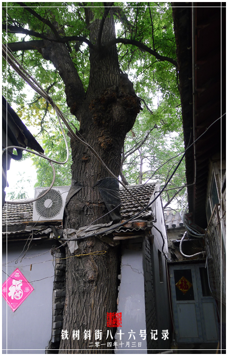 查看更多精彩图片