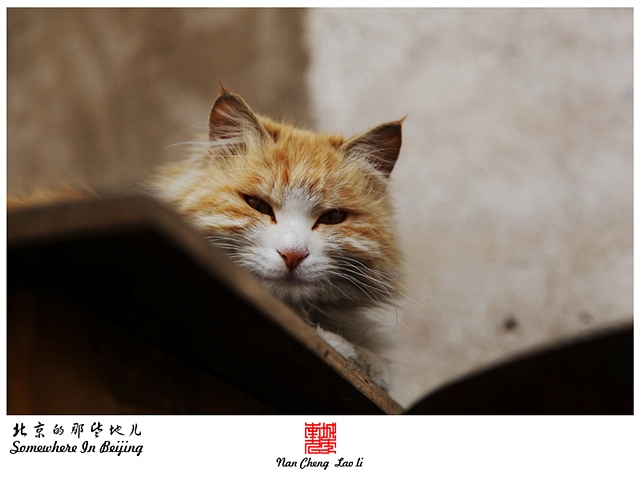 查看更多精彩图片