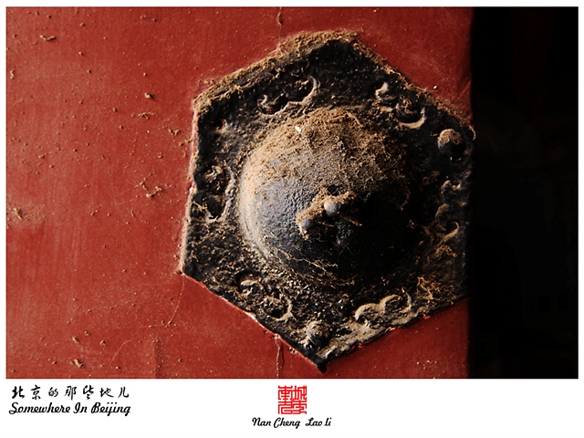 查看更多精彩图片