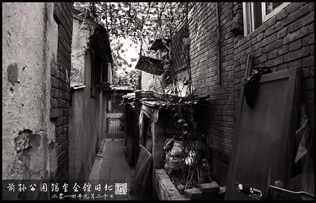 查看更多精彩图片