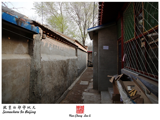 查看更多精彩图片
