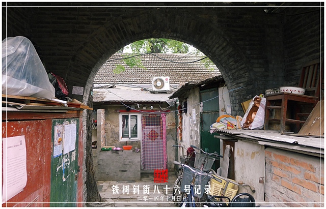 查看更多精彩图片