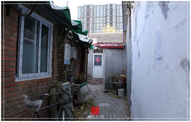 查看更多精彩图片