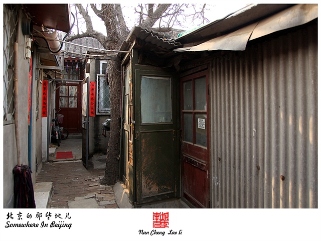 查看更多精彩图片