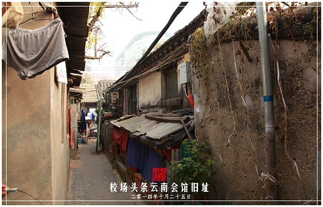 查看更多精彩图片