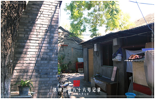 查看更多精彩图片