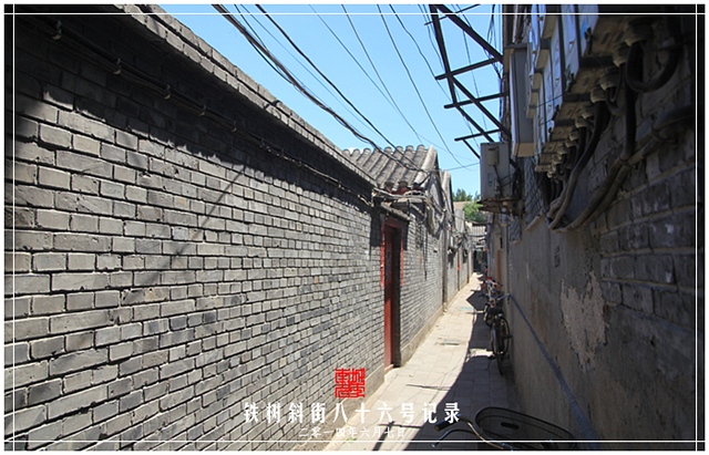 查看更多精彩图片