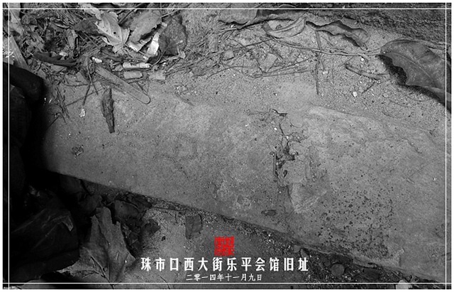 查看更多精彩图片