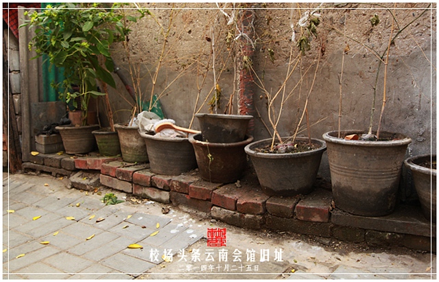 查看更多精彩图片