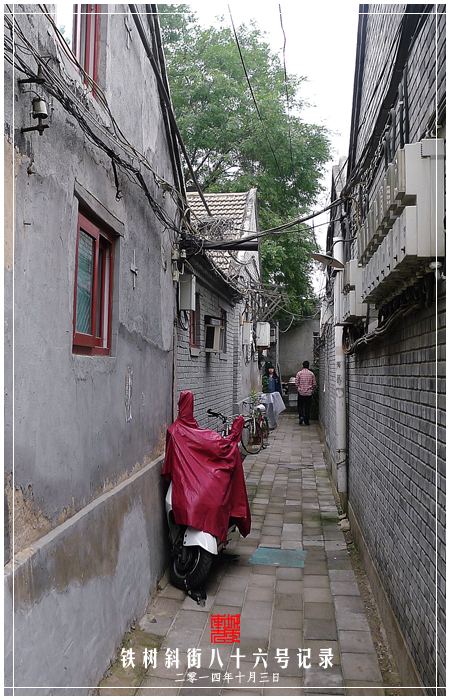查看更多精彩图片