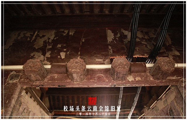 查看更多精彩图片