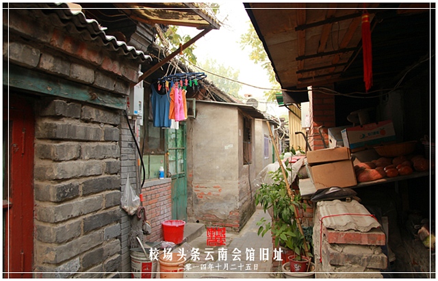 查看更多精彩图片