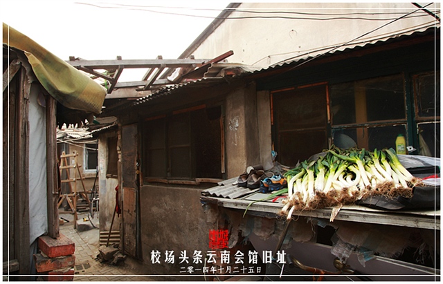 查看更多精彩图片