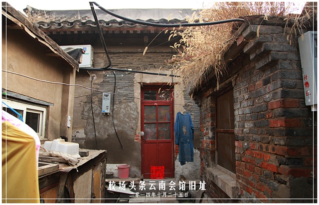 查看更多精彩图片