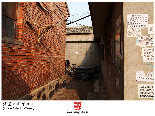 查看更多精彩图片