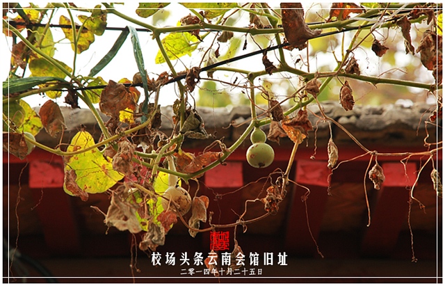 查看更多精彩图片