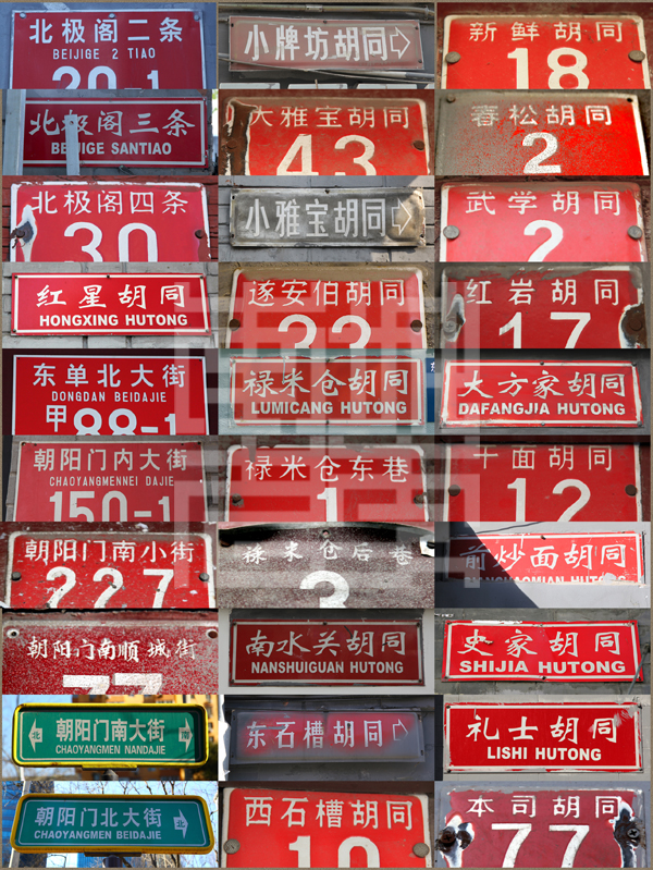 查看更多精彩图片