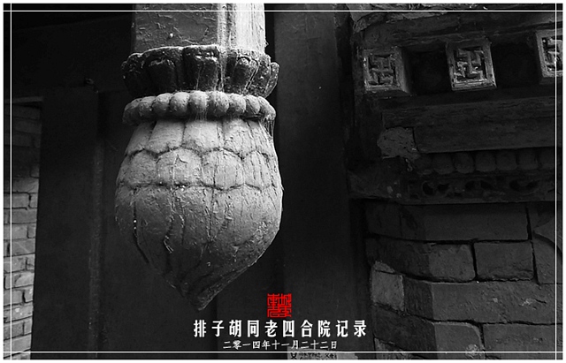 查看更多精彩图片