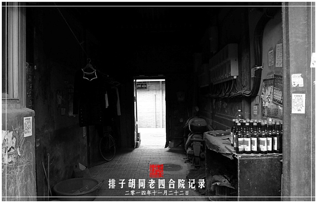 查看更多精彩图片