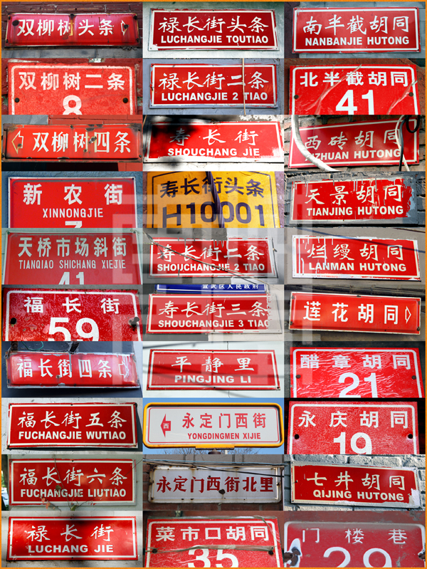 查看更多精彩图片