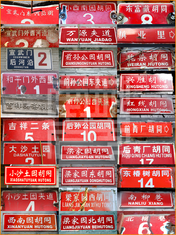 查看更多精彩图片