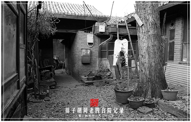 查看更多精彩图片