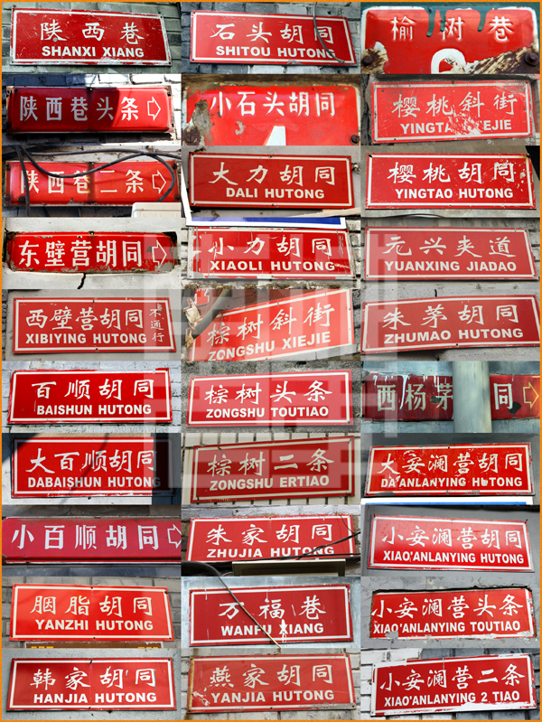 查看更多精彩图片