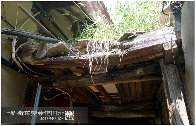 查看更多精彩图片
