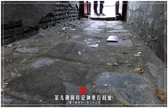 查看更多精彩图片