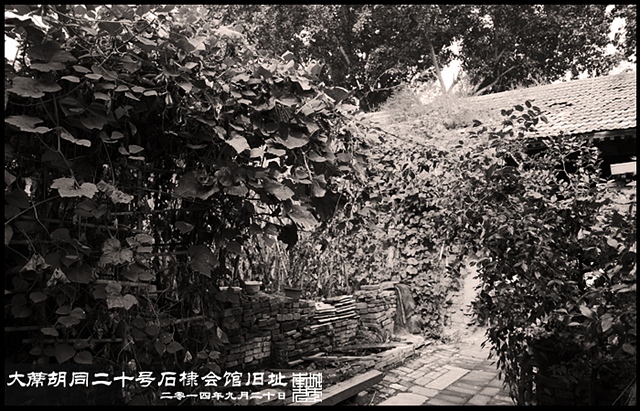 查看更多精彩图片