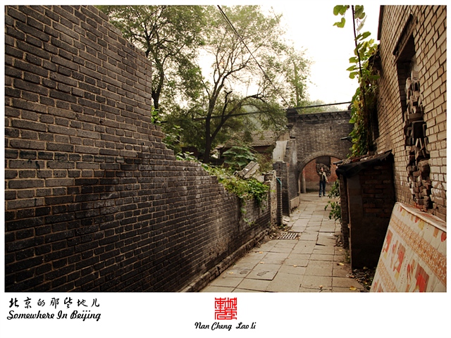 查看更多精彩图片