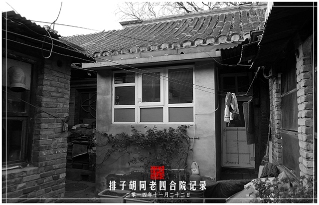 查看更多精彩图片