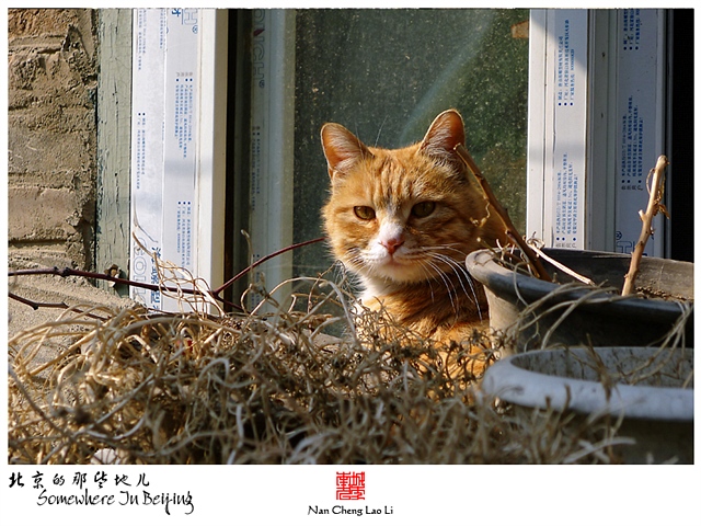 查看更多精彩图片