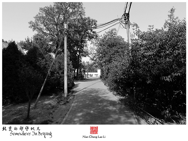 查看更多精彩图片