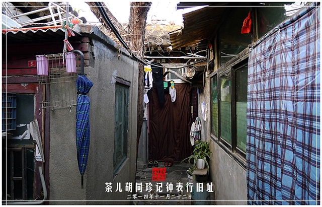 查看更多精彩图片