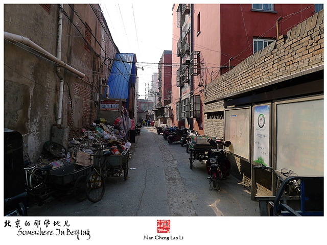 查看更多精彩图片