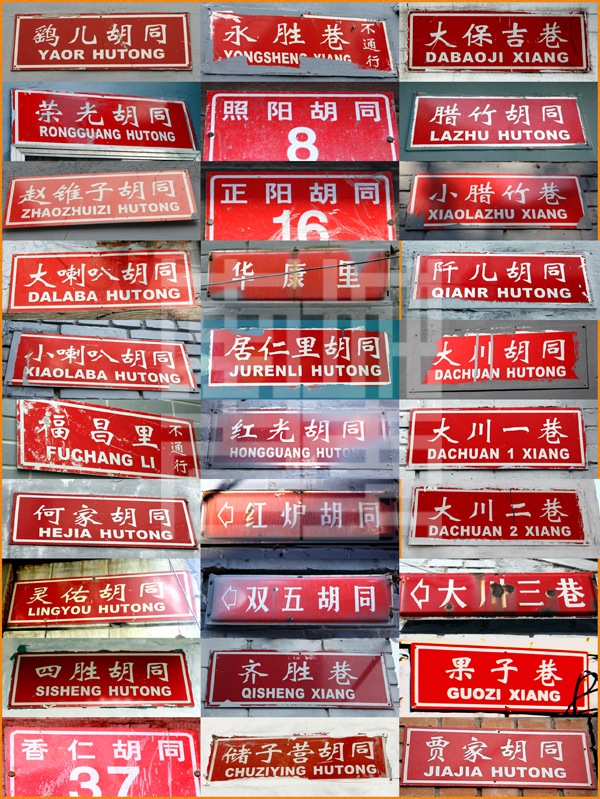 查看更多精彩图片