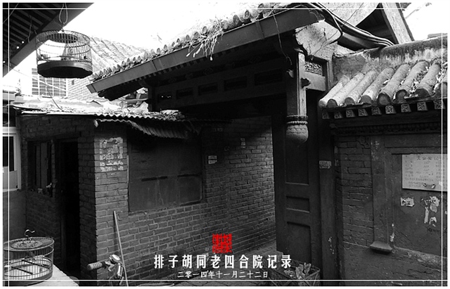 查看更多精彩图片