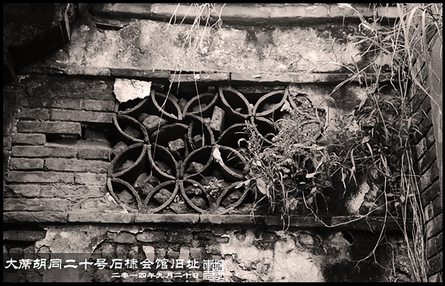 查看更多精彩图片
