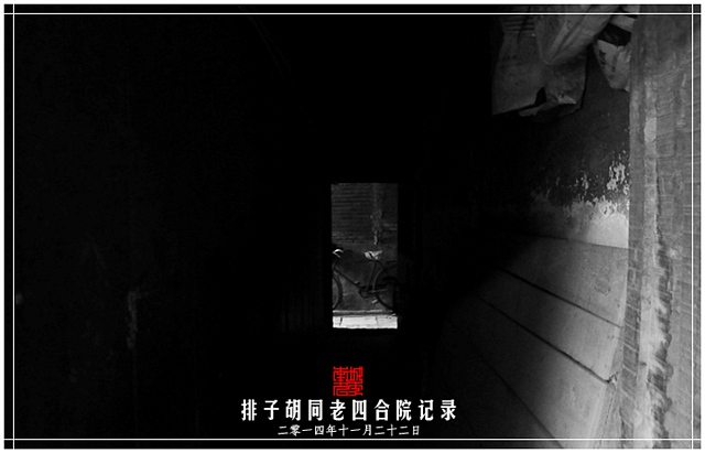查看更多精彩图片