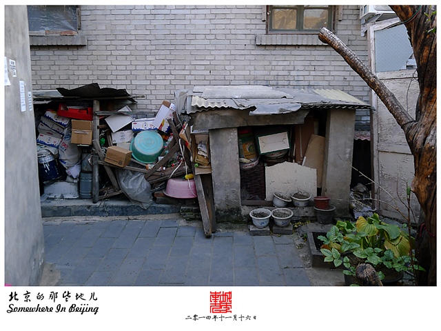 查看更多精彩图片